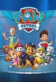 PAW Patrol: All Paws on Deck cover art