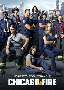 Chicago Fire Season 4 cover art