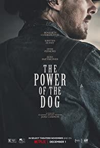 The Power of the Dog cover art