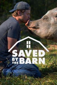 Saved by the Barn Season 1 cover art