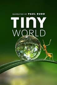 Tiny World Season 2 cover art