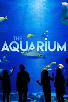 The Aquarium Season 1 cover art