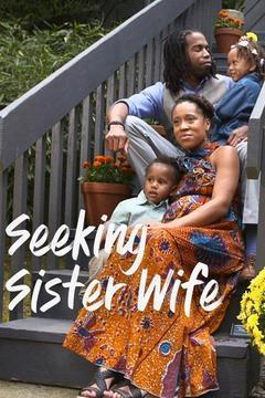 Seeking Sister Wife Season 1 cover art
