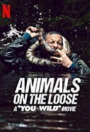 Animals on the Loose: A You vs. Wild Movie cover art