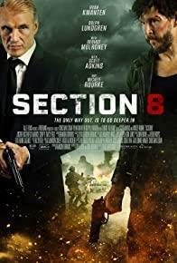 Section 8 cover art