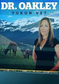Dr. Oakley, Yukon Vet Season 4 cover art