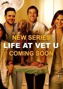 Life at Vet U Season 1 cover art
