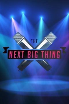 The Next Big Thing Season 1 cover art
