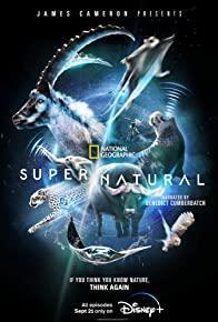 Super/Natural Season 1 cover art
