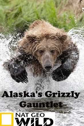 Alaska’s Grizzly Gauntlet Season 1 cover art