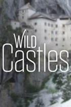Wild Castles Season 1 cover art
