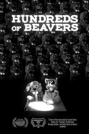 Hundreds of Beavers cover art