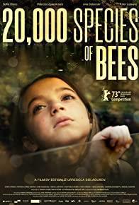 20,000 Species of Bees cover art