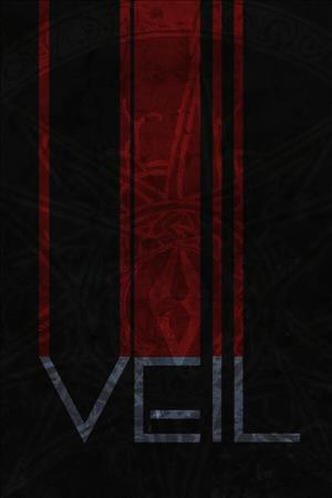 VEIL cover art