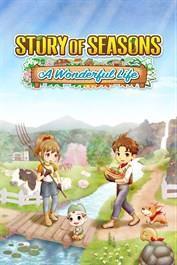 Story of Seasons: A Wonderful Life cover art