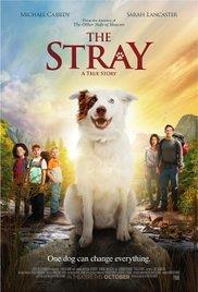 The Stray cover art