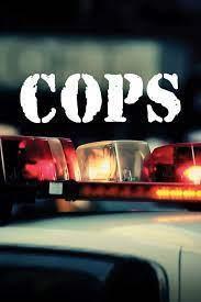 Cops Season 33 cover art