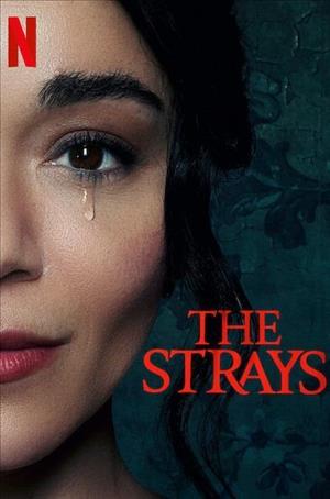 The Strays cover art