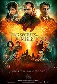 Fantastic Beasts: The Secrets of Dumbledore cover art