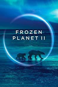 Frozen Planet II cover art