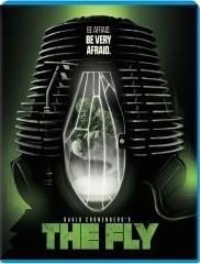 The Fly - Fox Halloween Faceplate cover art