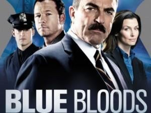 Blue Bloods Season 5 Episode 1: Partners cover art
