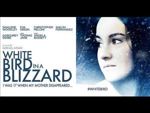 White Bird in a Blizzard cover art