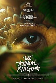 The Animal Kingdom cover art