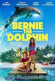 Bernie the Dolphin cover art
