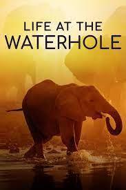 Life at the Waterhole Season 1 cover art