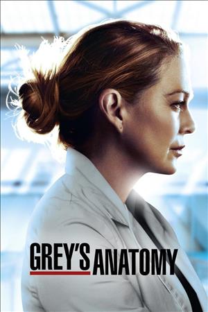 Grey's Anatomy Season 21 cover art