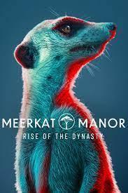 Meerkat Manor: Rise of the Dynasty Season 1 cover art