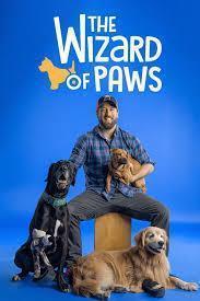 The Wizard of Paws Season 6 cover art
