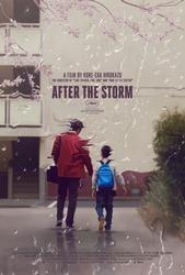 After the Storm cover art