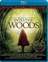 Into the Woods cover art