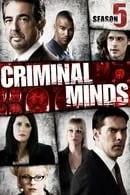 Criminal Minds Season 5 cover art