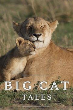 Big Cat Tales Season 1 cover art