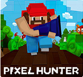 Pixel Hunter cover art