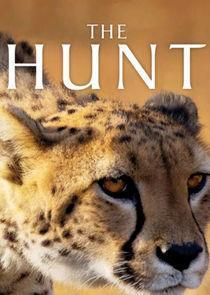 The Hunt Season 1 cover art