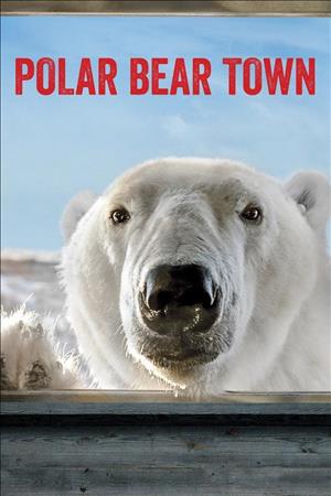 Polar Bear Town Season 2 cover art