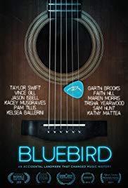Bluebird cover art