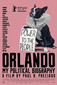 Orlando, My Political Biography cover art