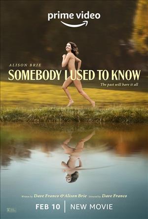 Somebody I Used to Know cover art