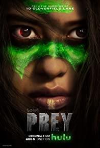 Prey (II) cover art