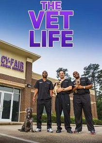 The Vet Life Season 2 cover art