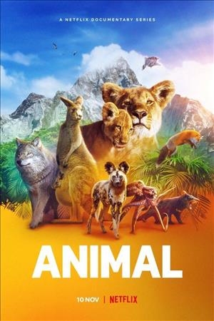Animal Season 1 cover art