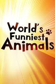 World's Funniest Animals Season 2 cover art