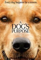 A Dog's Purpose cover art