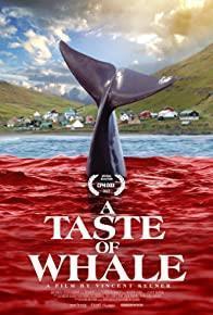 A Taste of Whale cover art