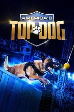 America's Top Dog  Season 1 all episodes image